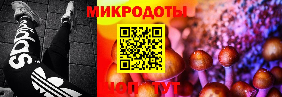 Галлюциногенные грибы Magic Shrooms  продажа наркотиков  Ипатово  Вход с VPN 